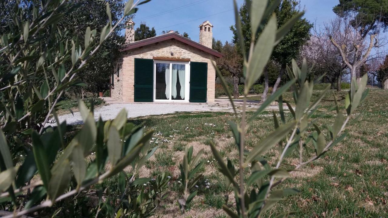 Villa Domus Filmar Pesaro Exterior foto