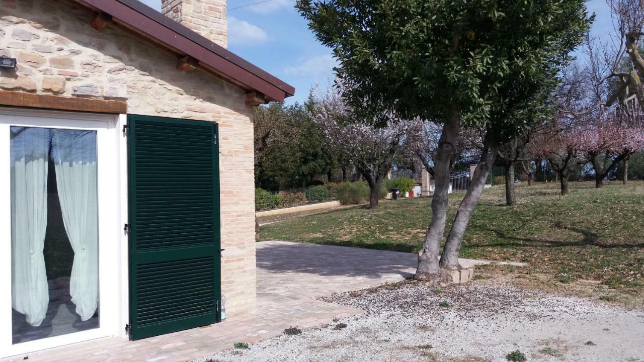 Villa Domus Filmar Pesaro Exterior foto