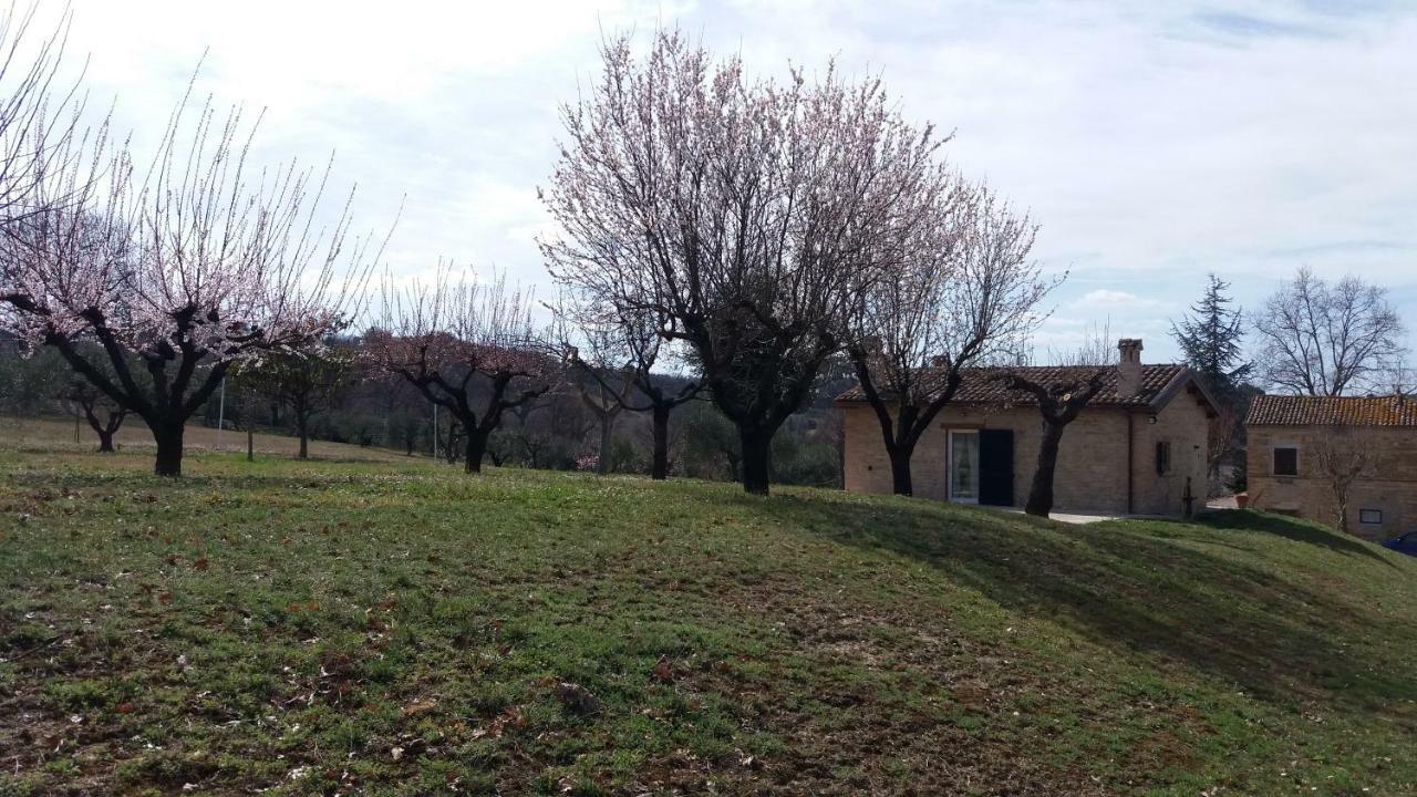Villa Domus Filmar Pesaro Exterior foto