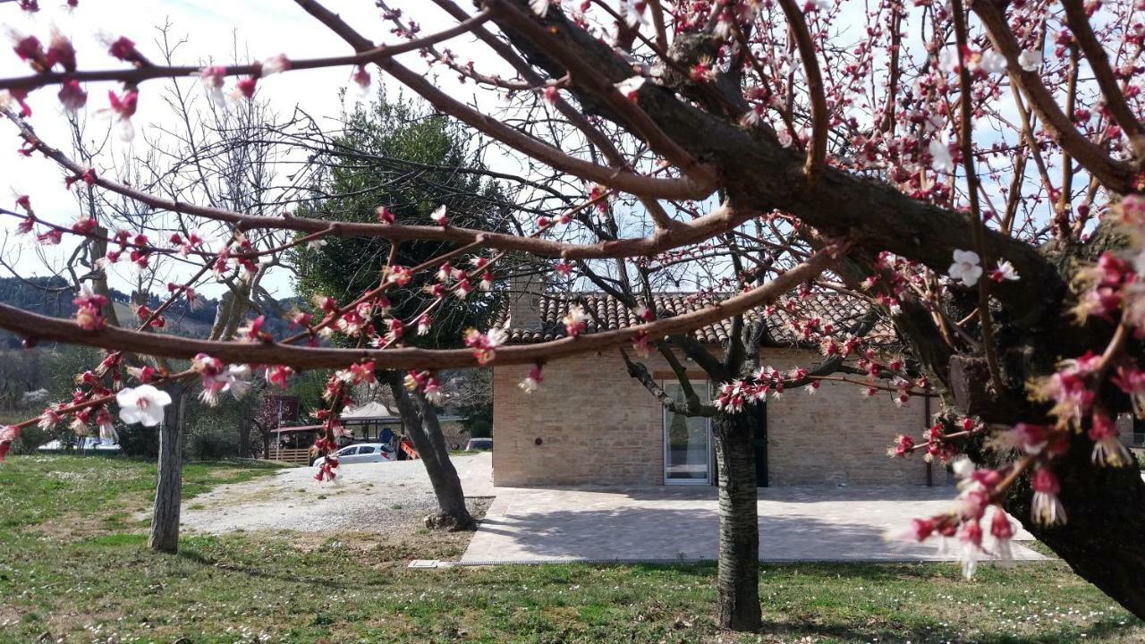 Villa Domus Filmar Pesaro Exterior foto